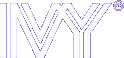 IVY PR